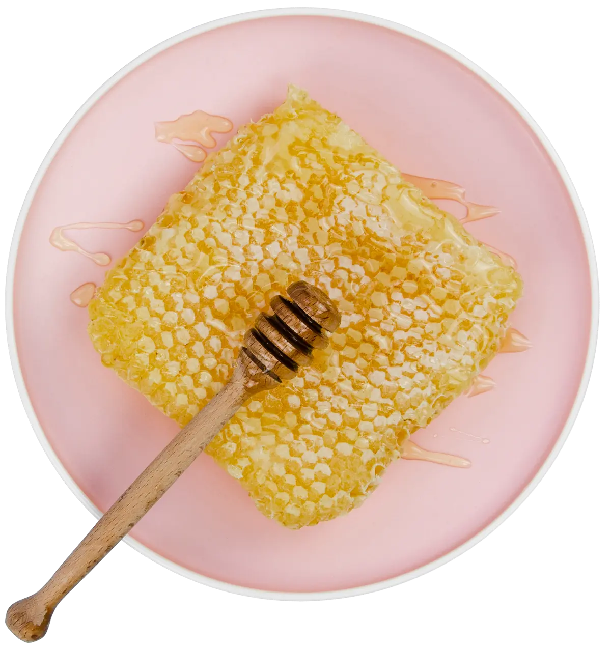 Miele e identità visiva Api Digitali